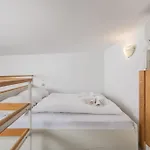 Beli Kamik * Rijeka